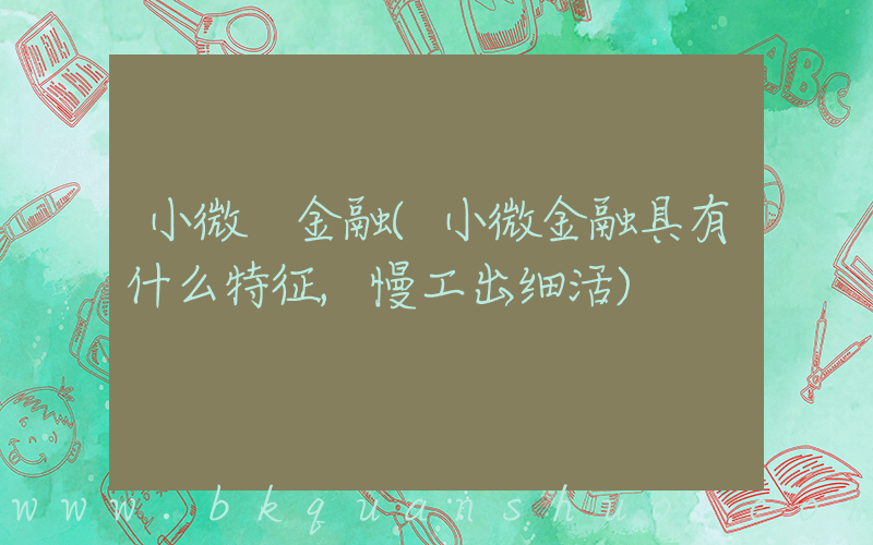 小微 金融(小微金融具有什么特征,慢工出细活)